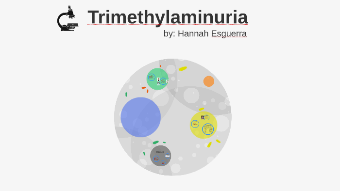 Trimethylaminuria By Hannah Esguerra On Prezi