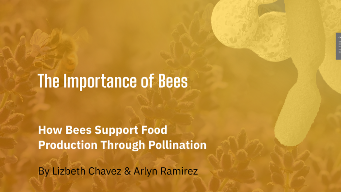 The Essential Role of Bees in Agriculture by Arlyn Ramirez on Prezi