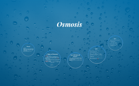 3 Types of Osmosis by Joey Flaherty on Prezi