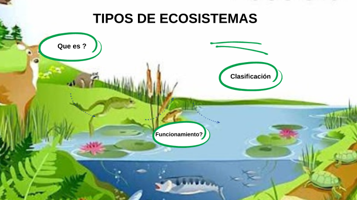 TIPOS DE ECOSISTEMAS by Adriana Salum on Prezi