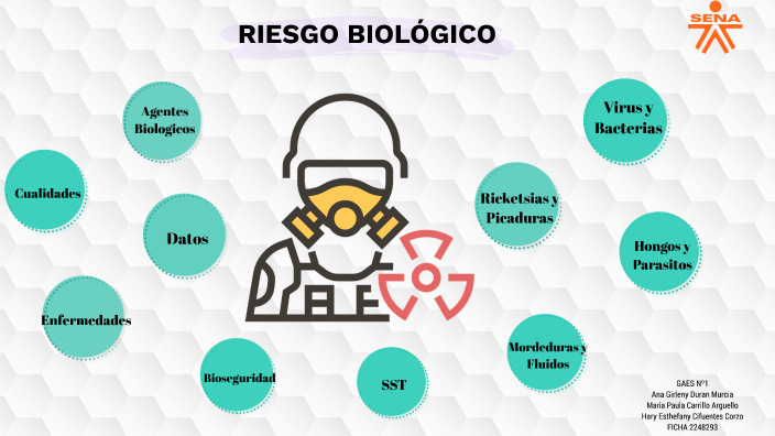 RIESGO BIOLÓGICO by Hary Cifuentes on Prezi