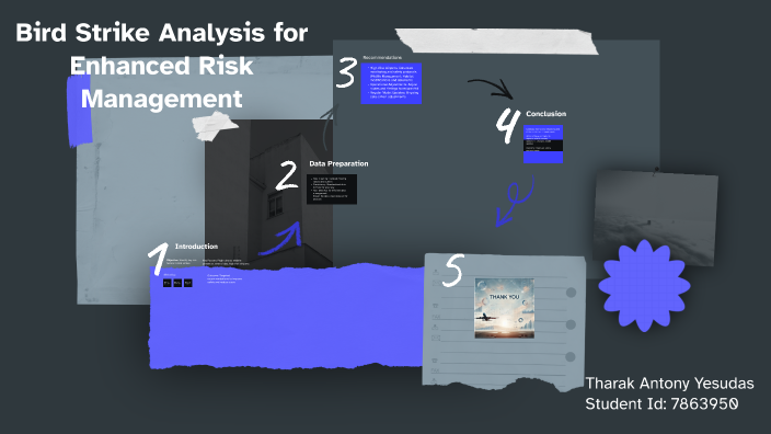 Bird Strike Analysis for Enhanced Risk ManagementIGN by Tharak Antony ...