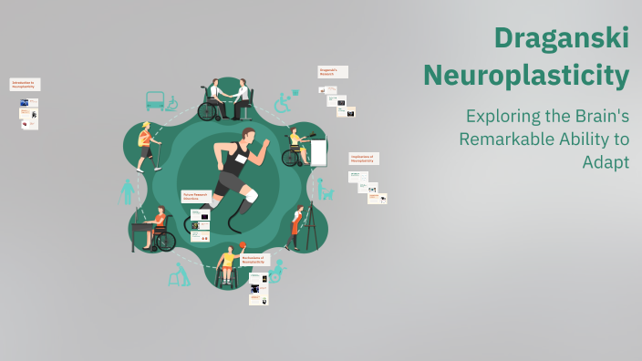 Draganski Neuroplasticity by Berhan Gencol on Prezi
