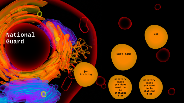 Military Branch By Marilyn Smith On Prezi