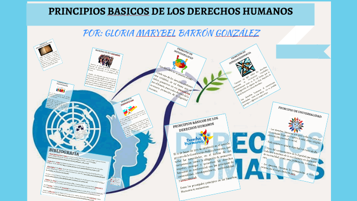 Principios de los Derechos Humanos by Glorybel Bg on Prezi