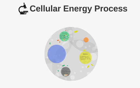 provide the main source of energy for cellular processes