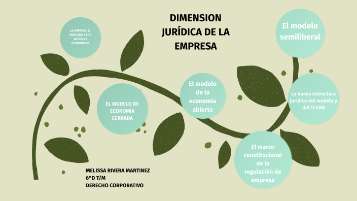 Dimensión Jurídica de la Empresa by MELY RIV on Prezi