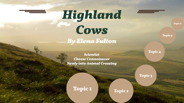 Highland Cows by Elena Fulton on Prezi