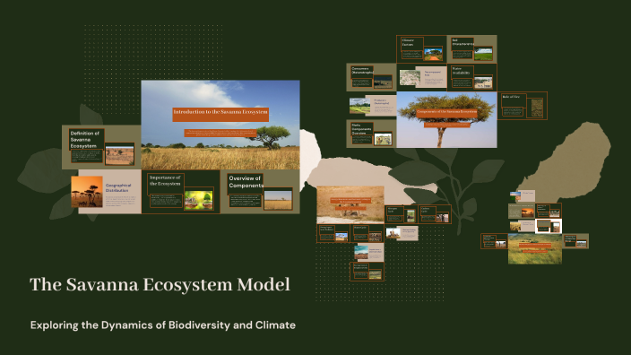 The Savanna Ecosystem Model by Jenelle Agcaoili on Prezi
