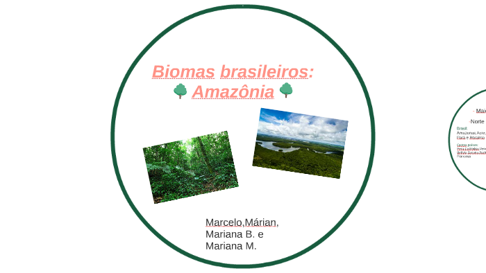 Biomas brasileiros: by MÁRIAN LETÍCIA on Prezi
