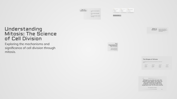Understanding Mitosis: The Science of Cell Division by Ghenua Omais on ...