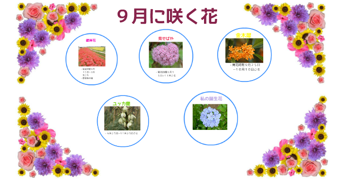 Http Www Namaewallpaper Com Digital Signage 001 Bin Flower By 吉村 秋美