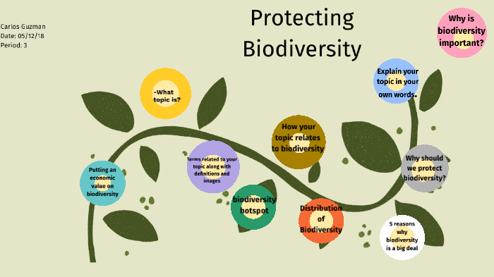 Protecting Biodiversity By Carlos Guzman