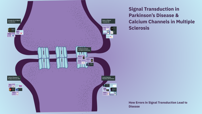 Signal Transduction in Parkinson’s Disease & Calcium Channels in ...