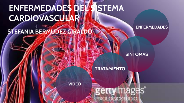 ENFERMEDADES DEL SISTEMA CARDIOVASCULAR By Stefania Bermudez On Prezi