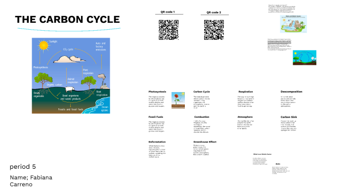 The carbon cycle by Fabiana Carreno on Prezi