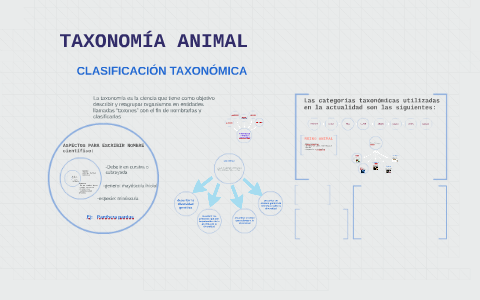 TAXONOMÍA ANIMAL by on Prezi