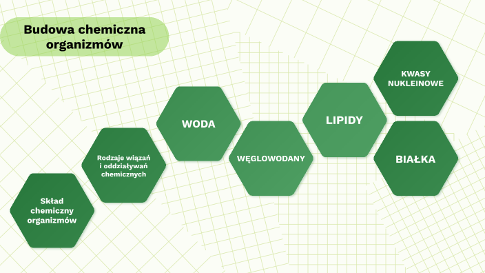 Budowa chemiczna organizmów by Jadwiga Radło on Prezi