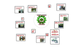 Laporan Observasi Ahli K3 Umum By Citra Dky