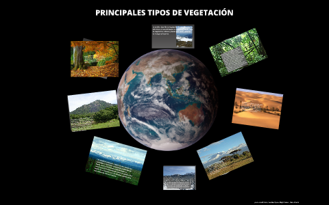 Principales Tipos De Vegetación By Maria Gomez<script async src=