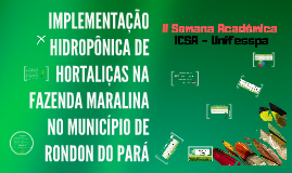 IMPLEMENTAÇÃO HIDROPÔNICA DE HORTALIÇAS NA FAZENDA MARALINA 