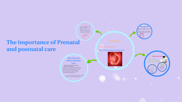 the-importance-of-prenatal-and-postnatal-care-by-kayley-dardano