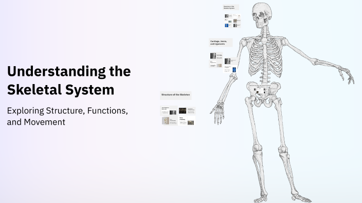 Understanding the Skeletal System by Yara on Prezi