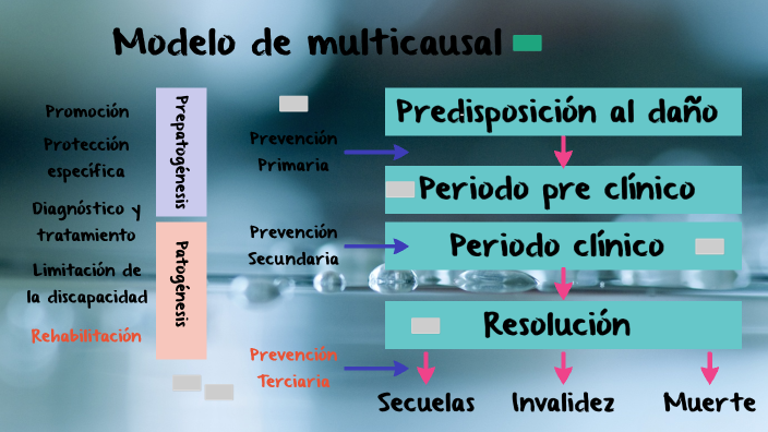 Modelo multicausal by David Russi