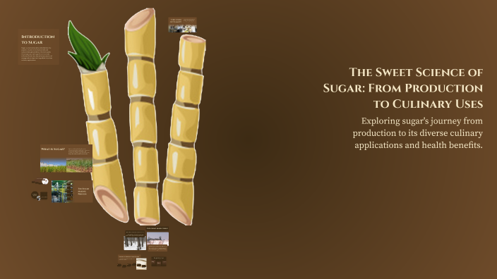 The Sweet Science of Sugar: From Production to Culinary Uses by Asma ...