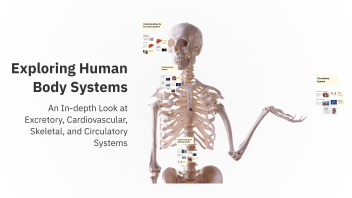 Exploring Human Body Systems by gigi gigi on Prezi