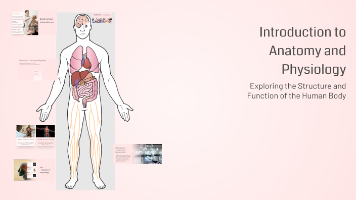 Introduction to Anatomy and Physiology by Abdirahman Farah Jimale on Prezi