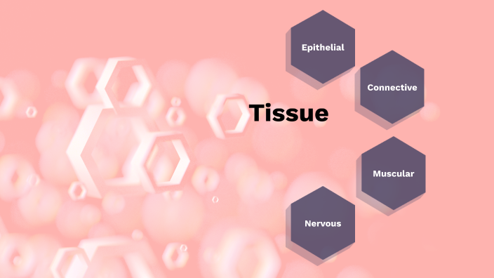 Module 2 lesson 1 anatomy by Karen Sophia Jimenez on Prezi