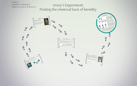 avery experiment biology