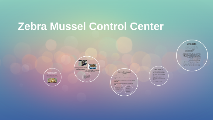 Zebra Mussel Control Center By Abby Wilson