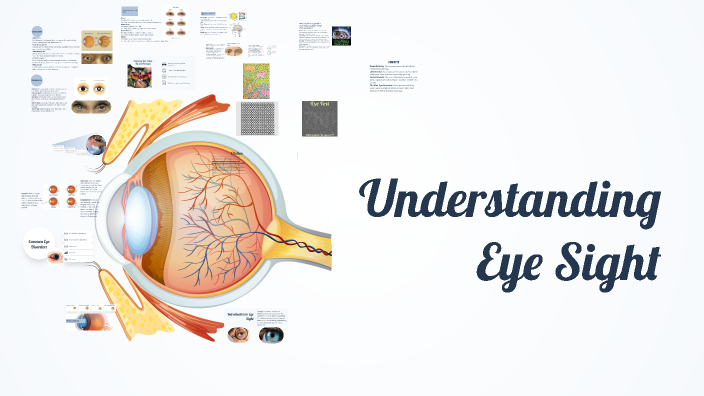 Understanding Eye Sight: A Comprehensive Overview by KARSON KOBI on Prezi