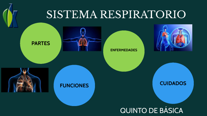 Aparatos y Sistemas del Cuerpo Humano by MARYURI KATHERINE DELGADO ...