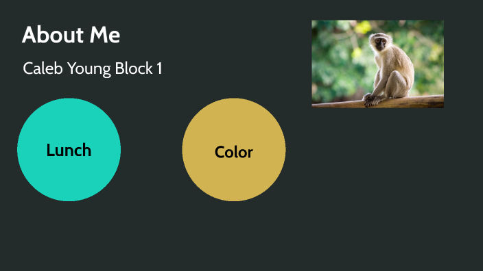 About me by Caleb Young on Prezi