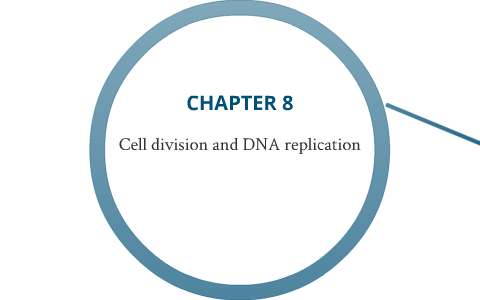 chapter 8 cell division and DNA replication by Jesse Garcia on Prezi