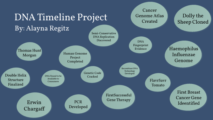 Alayna Regitz's DNA Timeline Project by Alayna Regitz