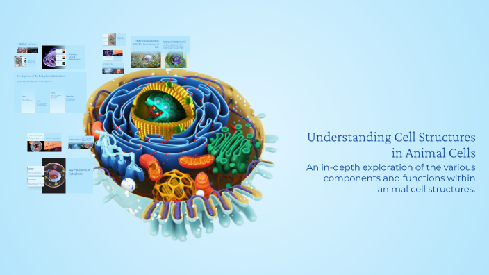 Understanding Cell Structures in Animal Cells by Sydney Miller on Prezi