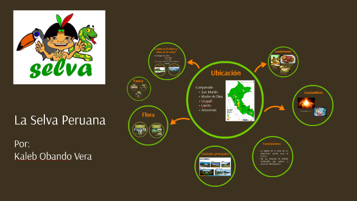 SELVA PERUANA by Kimberly Obando Vera on Prezi