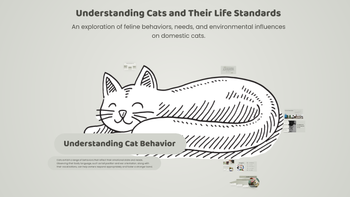 Understanding Cats and Their Life Standards by Merve on Prezi