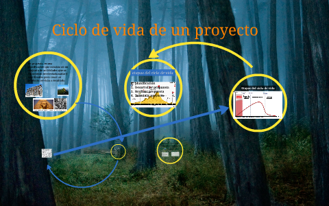 ciclo de vida de un proyecto by claudia patricia chaverra valencia on Prezi