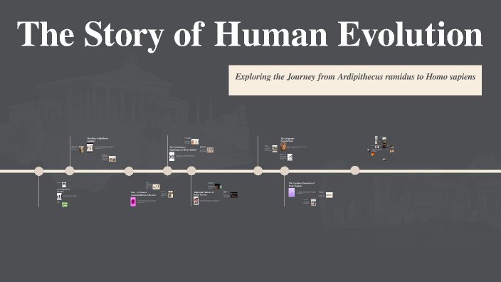 The Story of Human Evolution by Ruth Maher on Prezi
