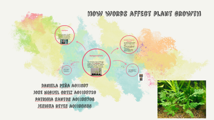 how-words-affect-plant-growth-by-jessy-r-y