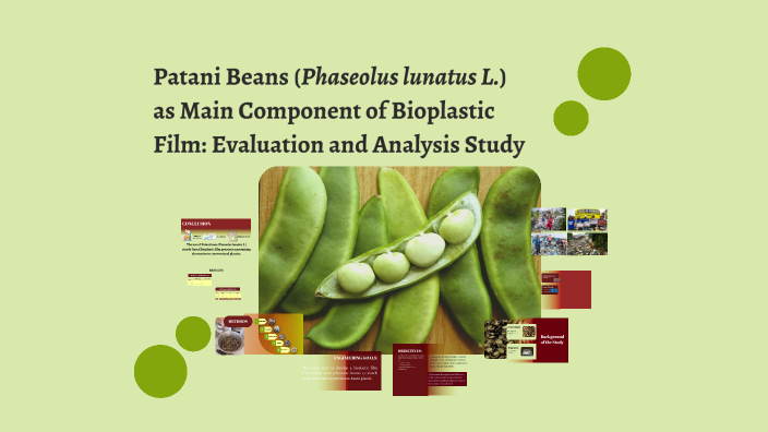 Patani Beans as a Sustainable Solution: Bioplastic Film Evaluation and ...