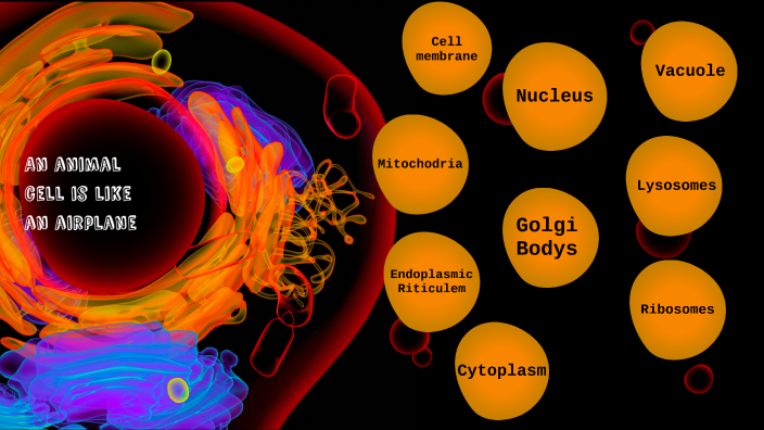 An animal cell is like a plane by Julia DeGarcia on Prezi