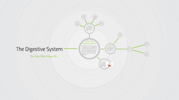 The Digestive System by R M on Prezi