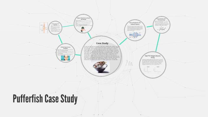 Case Study Presentation by Rachel D on Prezi