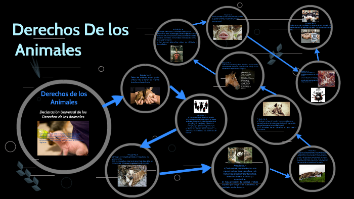 Derechos de los Animales by jair Robles on Prezi